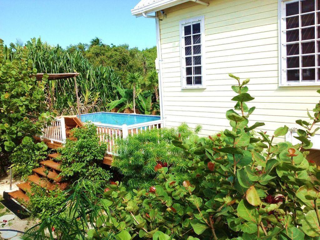 Hidden Gem Cabana Caye Caulker Exterior foto